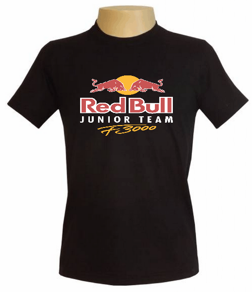 CAMISETA TRADICIONAL MASCULINA PERSONALIZADA
