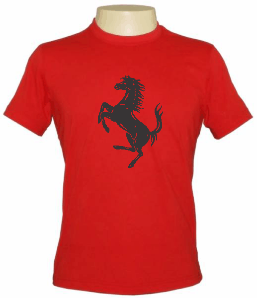 CAMISETA TRADICIONAL MASCULINA PERSONALIZADA
