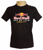 CAMISETA TRADICIONAL MASCULINA PERSONALIZADA